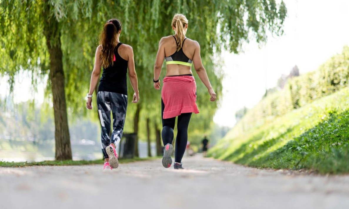 Quiet footpath through a tree-lined street